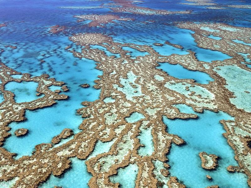3-Большой Барьерный риф в Австралии