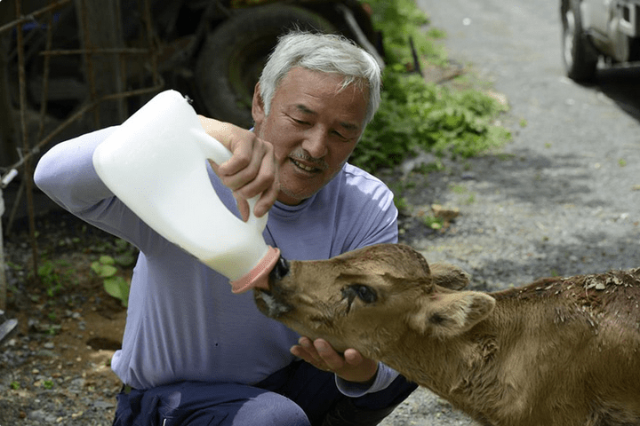 Один японец вернулся в зараженную зону Фукусимы, чтобы кормить брошенных там животных