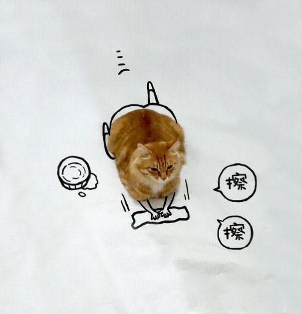 Дорисуй кота: В интернете набирает обороты новый тест на творческие способности