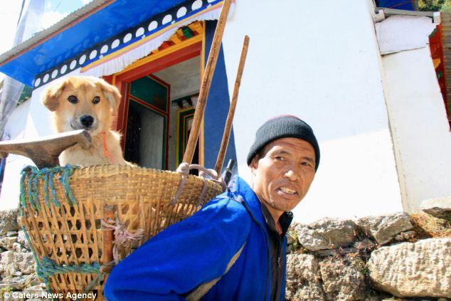 Рупи — первая собака-альпинист, которая покорила Эверест! 