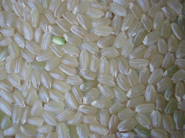поддельный рис