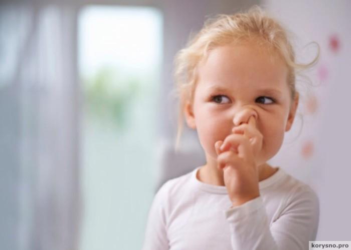 Почему дети едят козявки: изумительный ответ известного доктора!