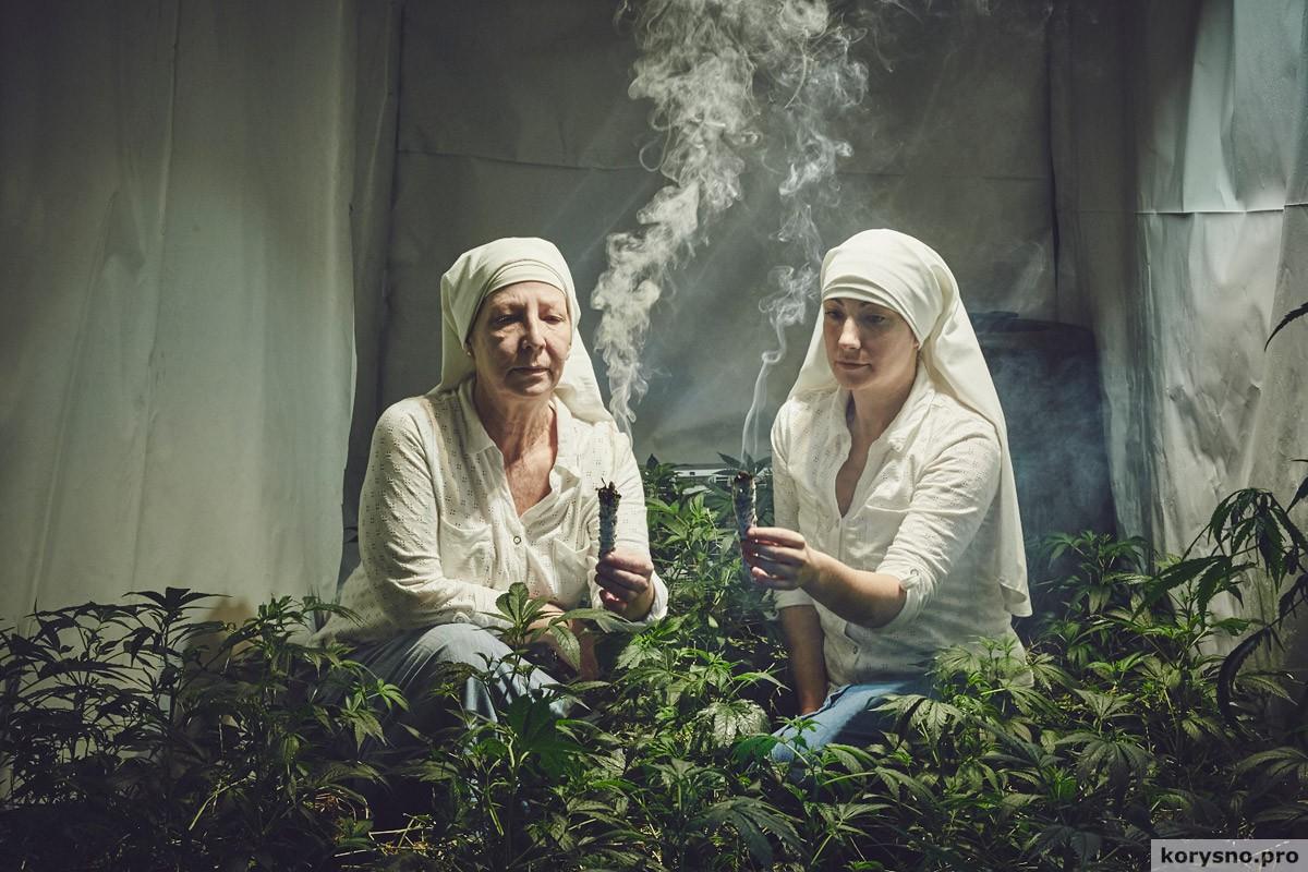 Фоторепортаж: как живут монахини, выращивающие марихуану