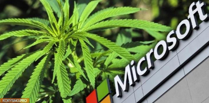 Диджитал джоинт: зачем Microsoft и остальные связываются с продажей марихуаны