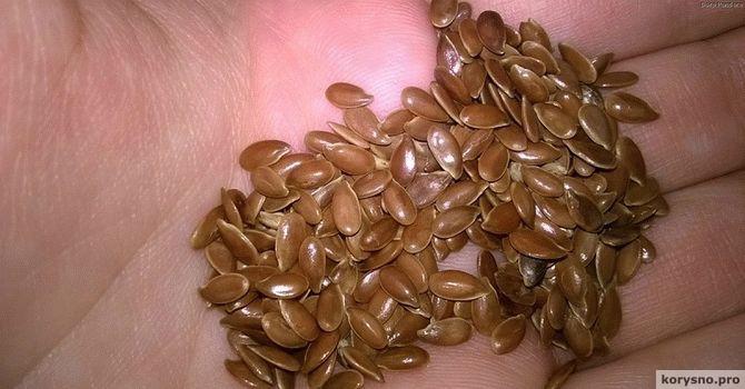 Что произойдет с организмом, если каждый день употреблять льняное семя