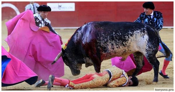 В Испании впервые за 31 год бык убил матадора