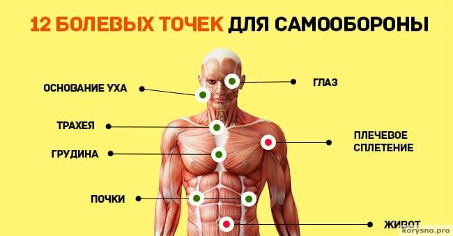 12 болевых точек на теле человека, которые пригодятся на случай самообороны