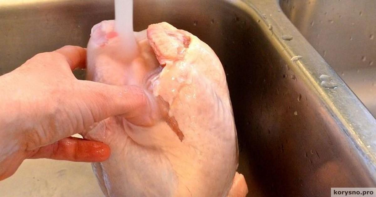 Вот почему нельзя мыть сырую курицу из магазина