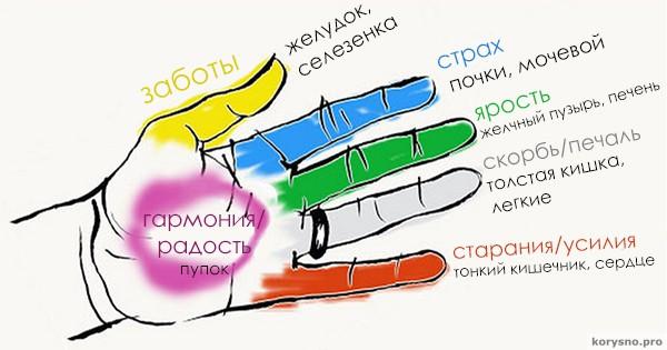 Каждый палец руки связан с двумя органами тела: японская 5-минутная методика исцеления!