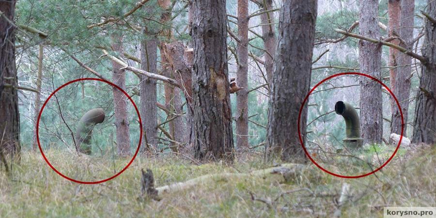 Они гуляли по лесу и увидели эти трубы. То, что находилось под ними, повергло их в ужас (30 фото)