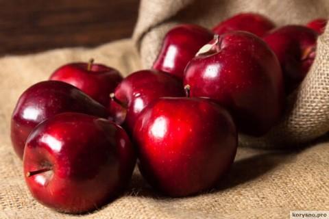 Чтобы яблоки хорошо хранились: несколько простых секретов