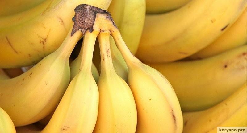Не покупайте жёлтые бананы! 10 самых важных фактов о бананах от экспертов