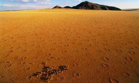 Ведьмины кольца: откуда круги в пустыне Намиб