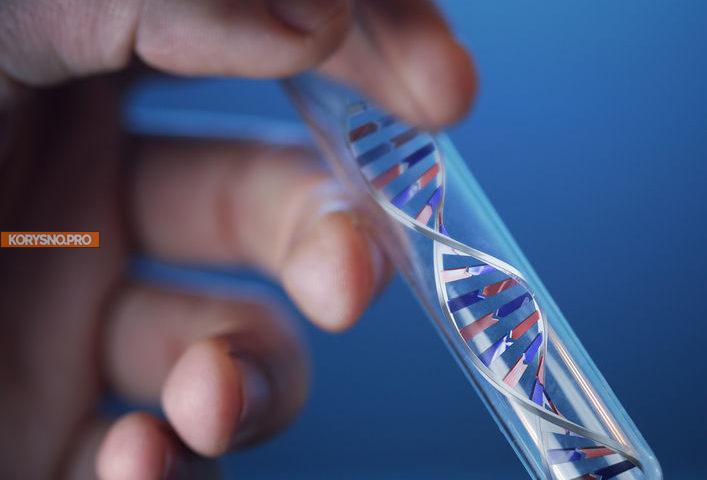 Что можно узнать о себе из ДНК-теста