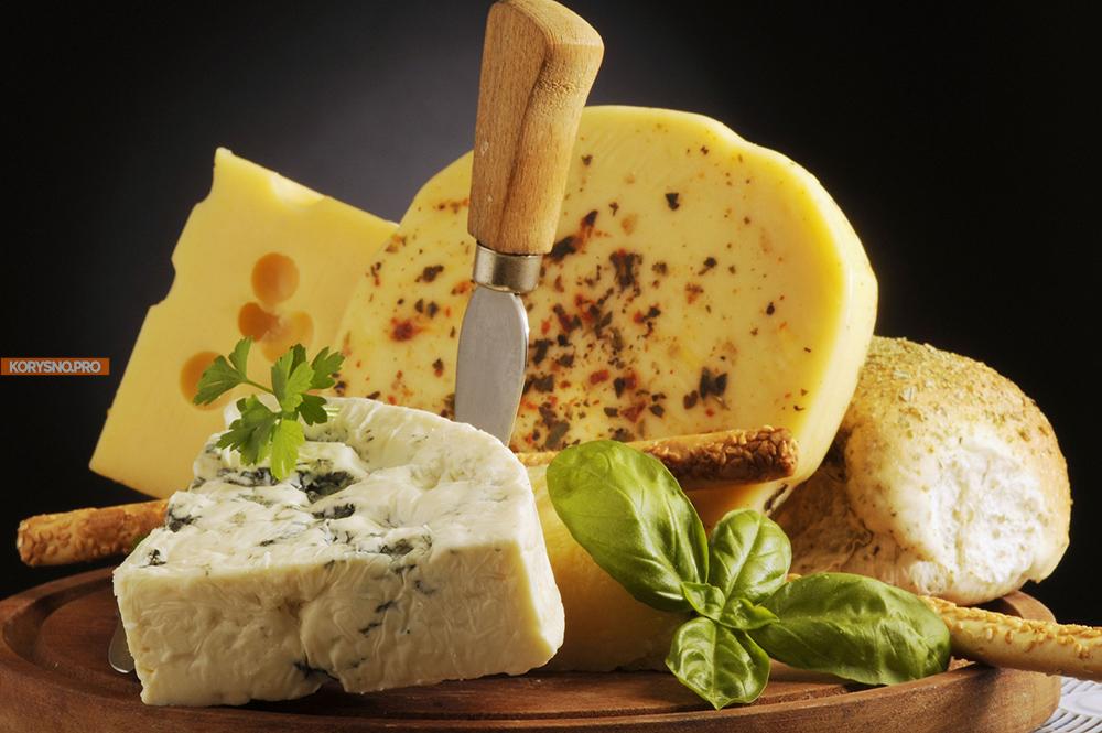 Что происходит с телом, когда ты ешь сыр?