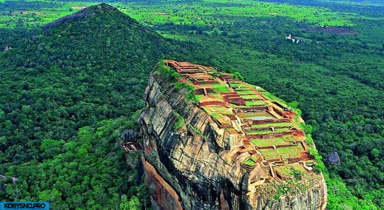 Шри-Ланка: интересные факты об удивительной стране
