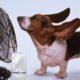 10 фактов о жаре: защищаемся! Советы