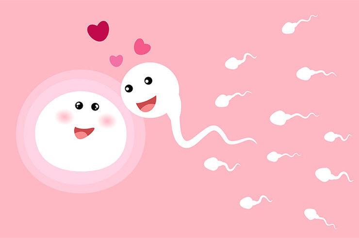 10 фактов о сперме человека