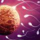 10 фактов о сперме человека
