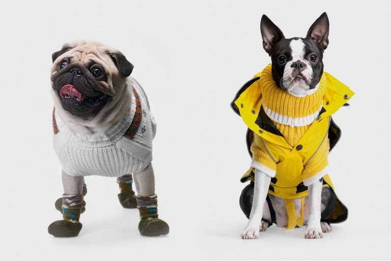 Комфортная и стильная одежда для домашних животных