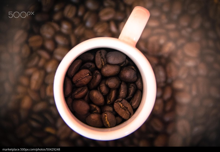 Вкусный кофе в зернах. Где купить лучший?
