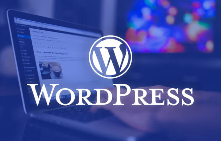 Особенности продвижения сайтов на Wordpress